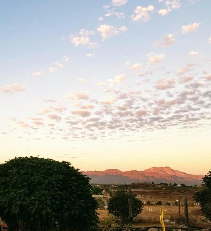 Terra Monarca Villa Valle de Guadalupe Exteriör bild