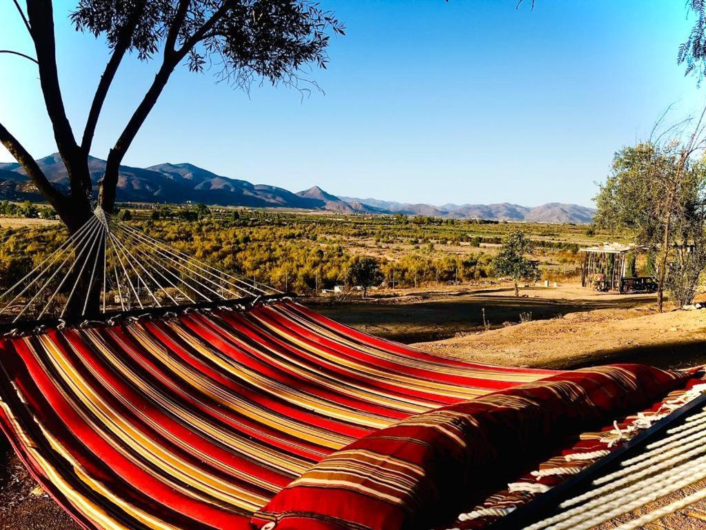 Terra Monarca Villa Valle de Guadalupe Exteriör bild
